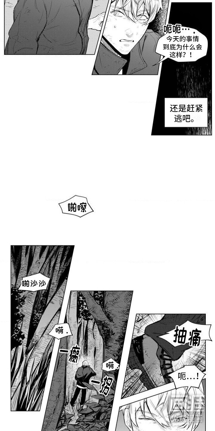 第2章：林中小屋