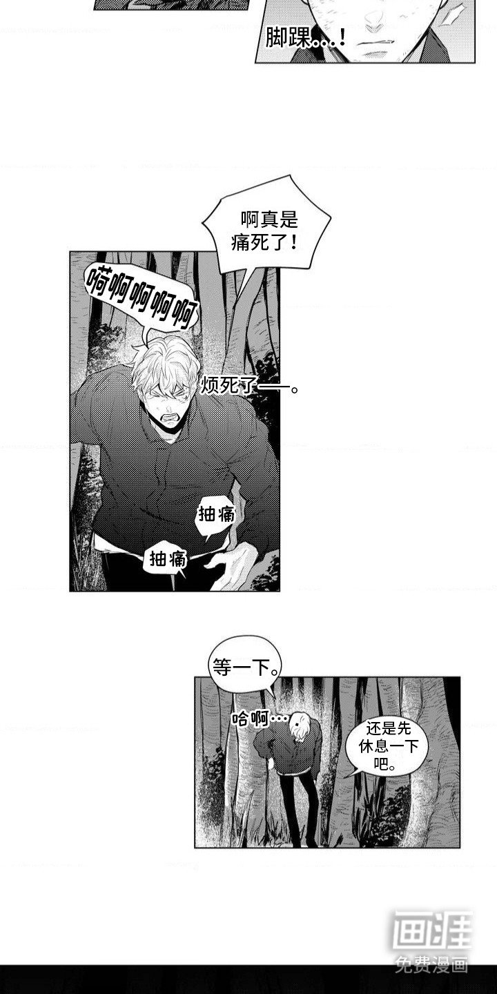 第2章：林中小屋