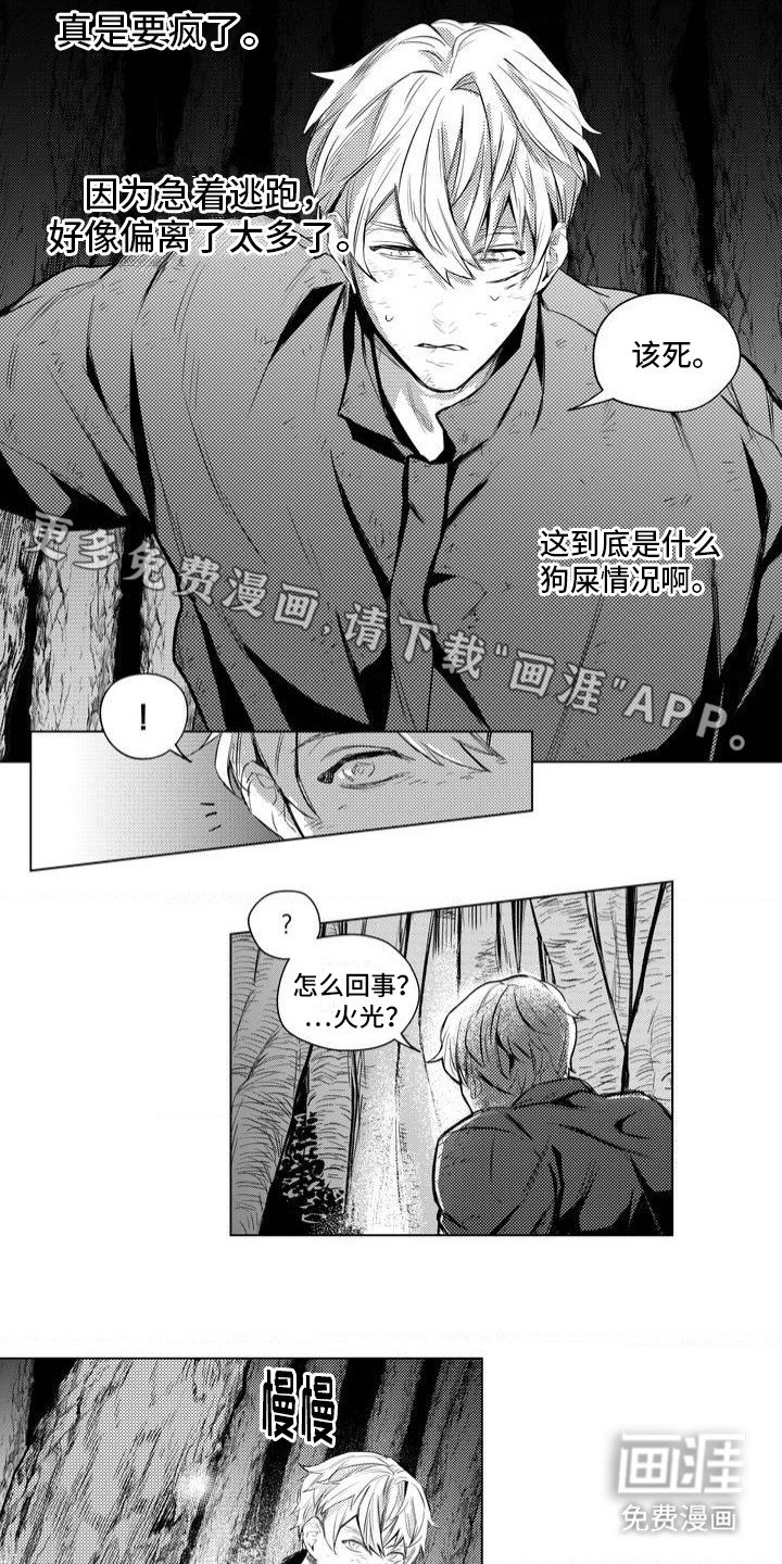 第2章：林中小屋