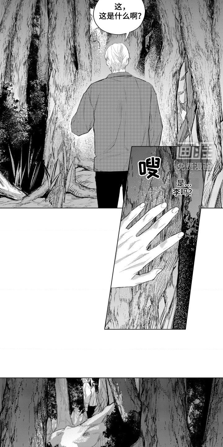 第24章：血迹