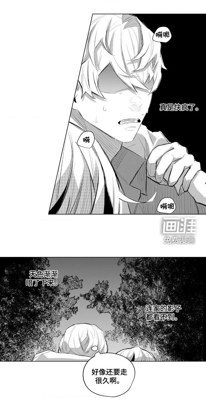 第26章：逞强