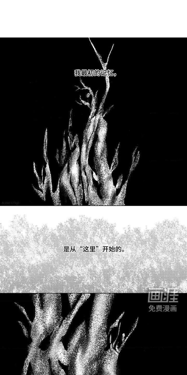 第28章：最初的记忆