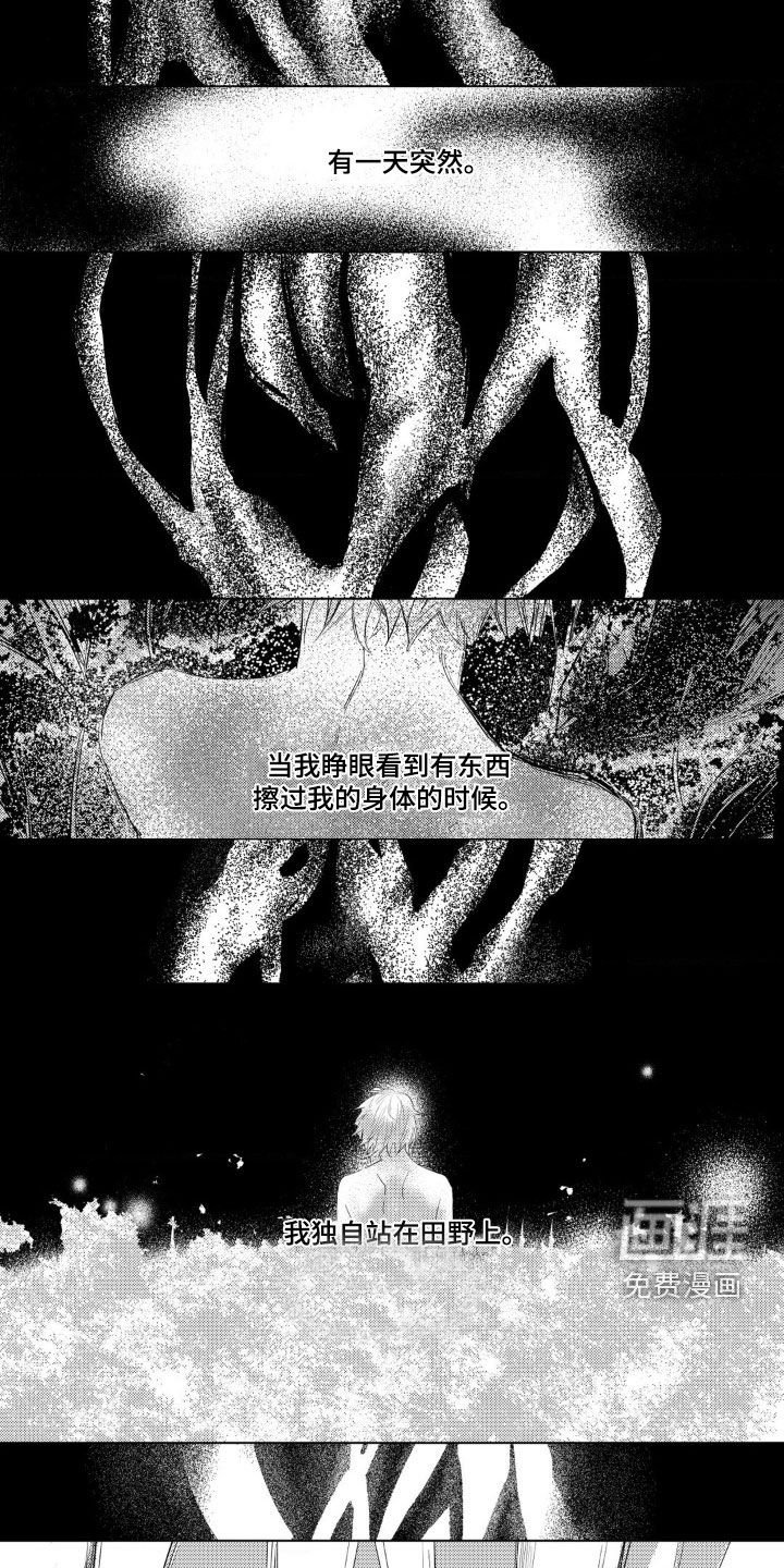 第28章：最初的记忆