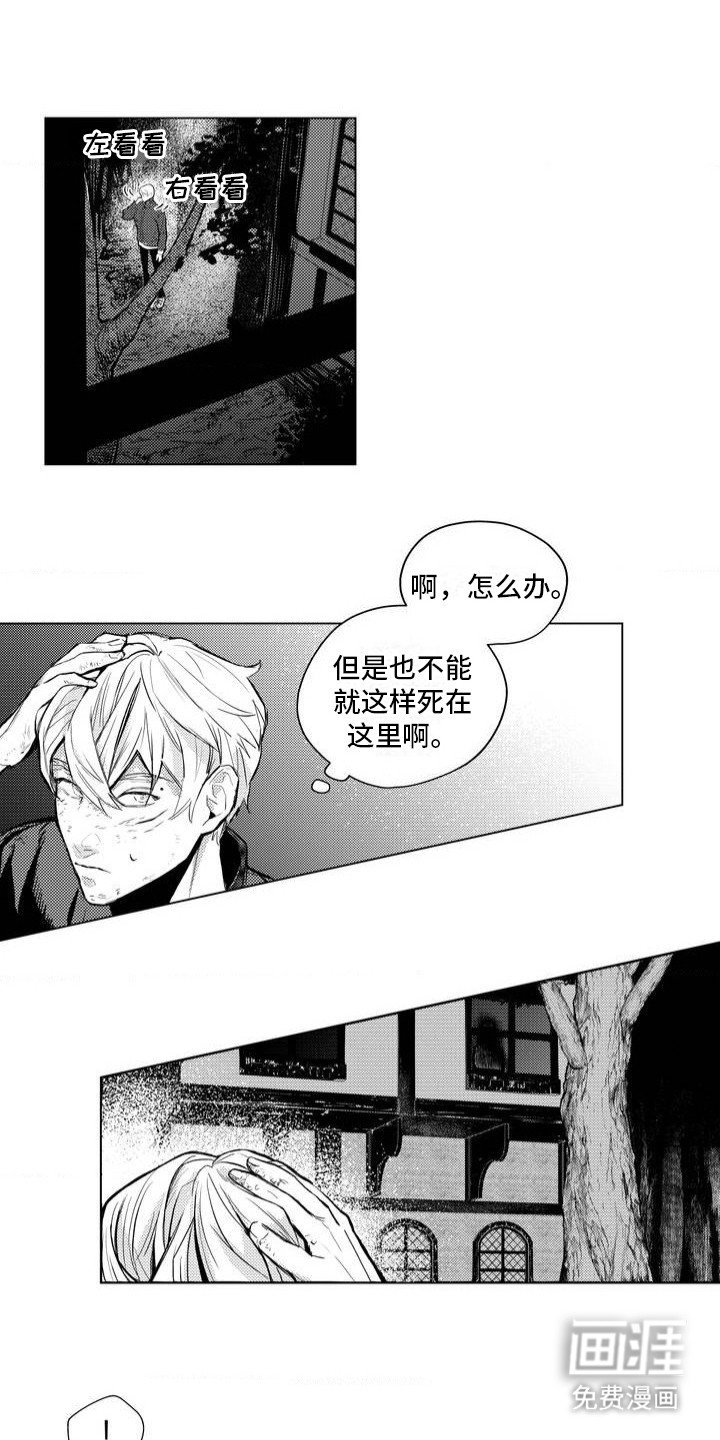 第3章：撒谎