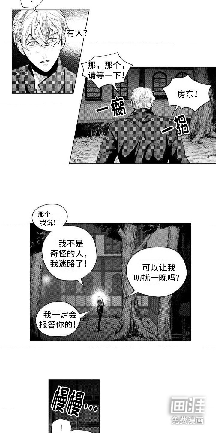 第3章：撒谎