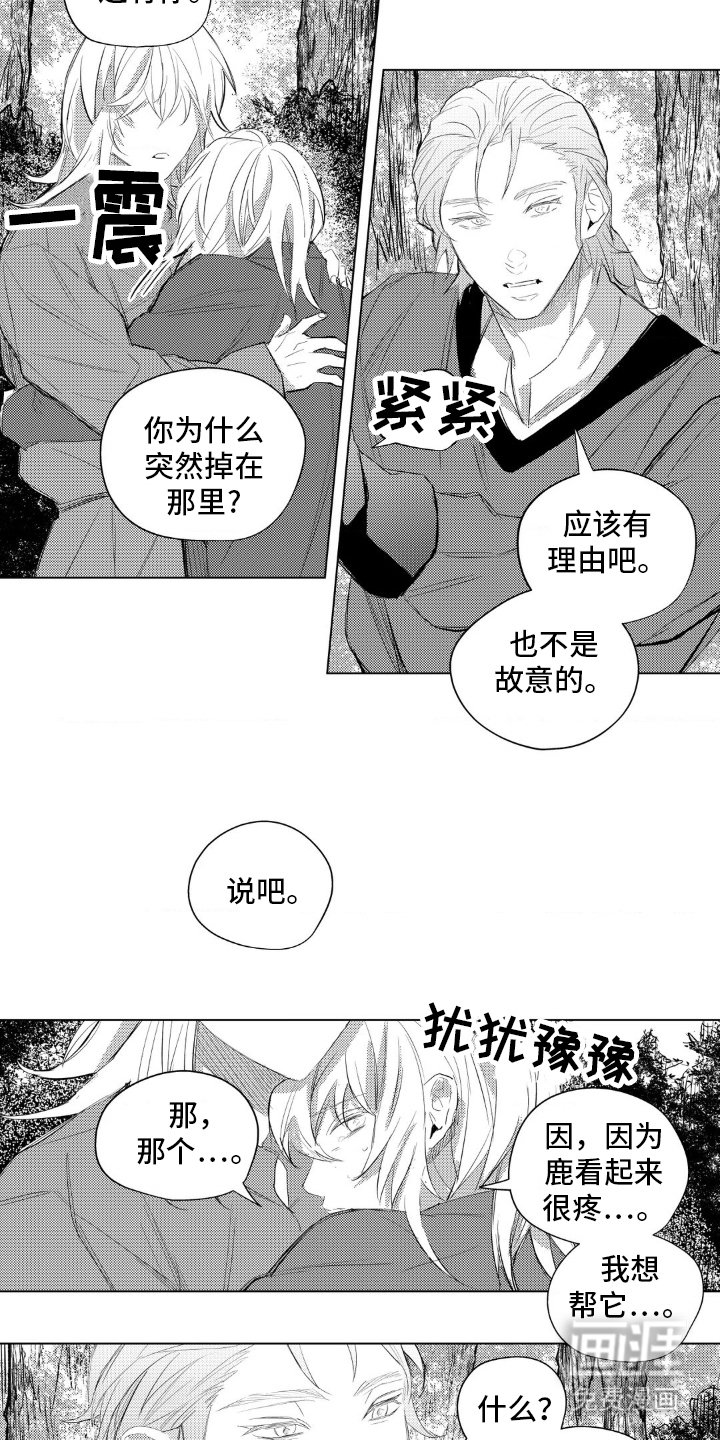 第31章：确认一下