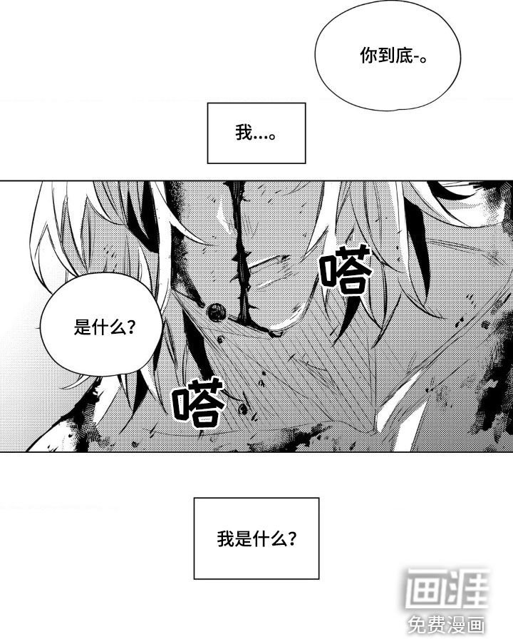 第34章：审问