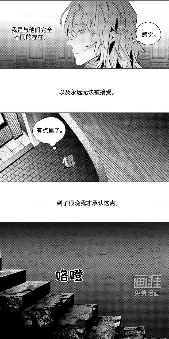 第37章：唯一的同族