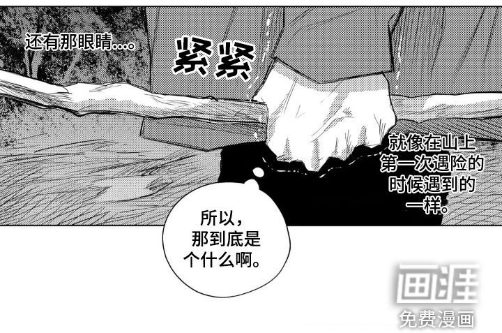 第38章：危险的东西