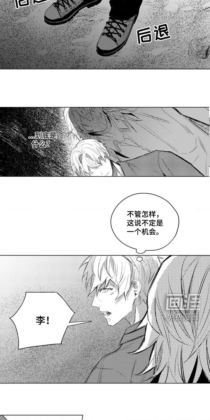 第39章：家畜