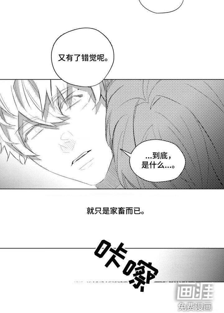 第39章：家畜