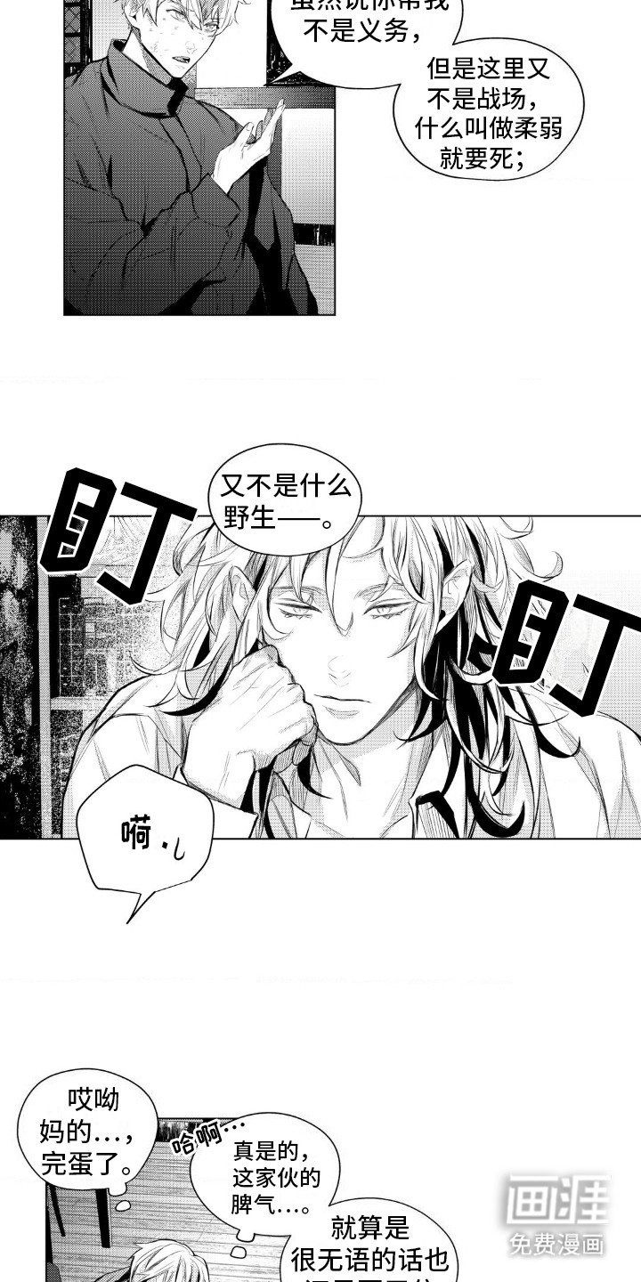 第4章：收留