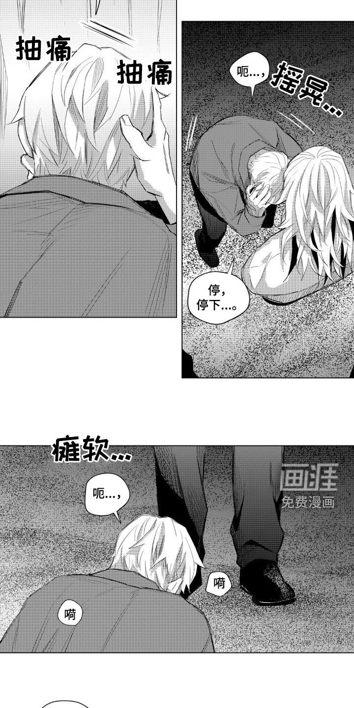 第40章：记忆