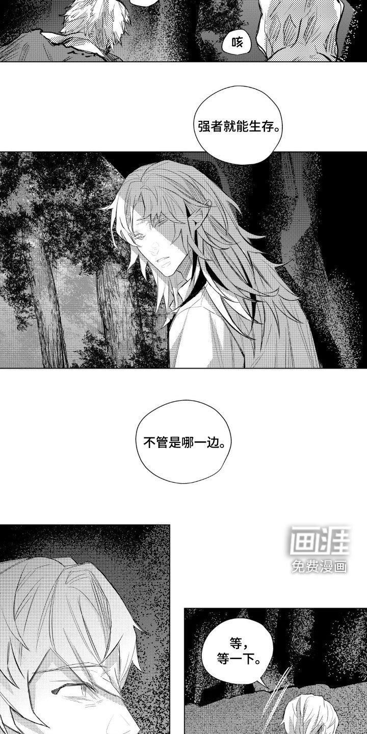 第41章：吸血鬼