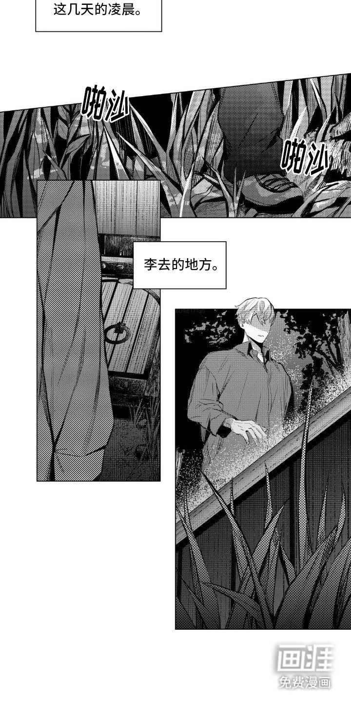 第9章：跟踪