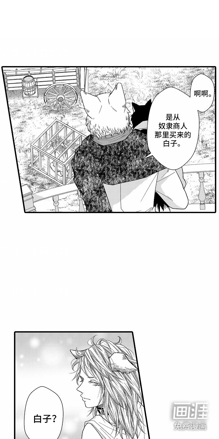 第1章：白子