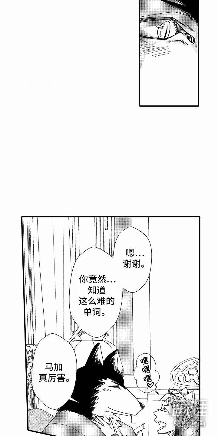 第11章：亮闪闪