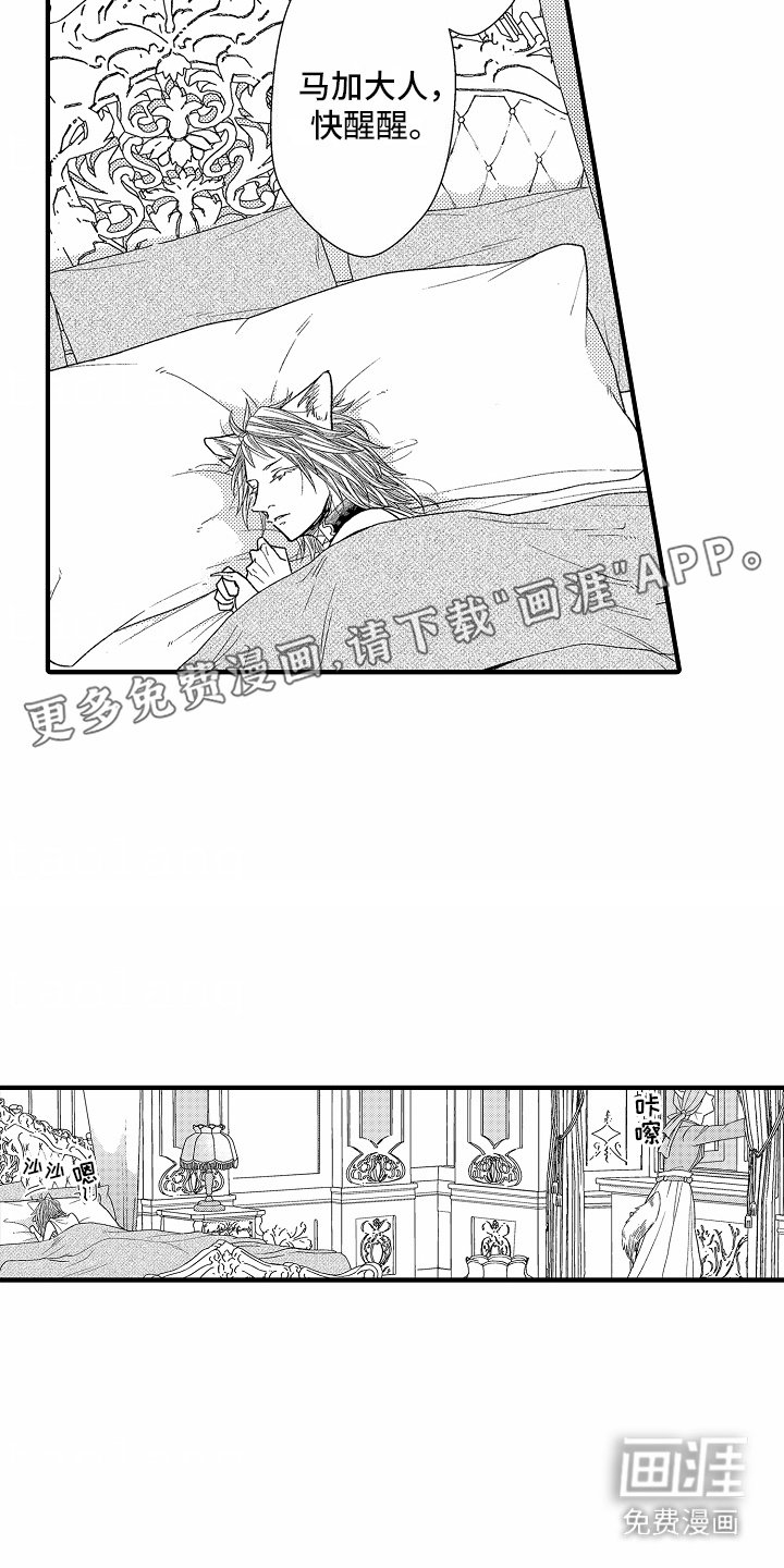 第11章：亮闪闪