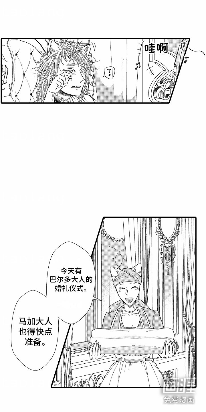 第11章：亮闪闪