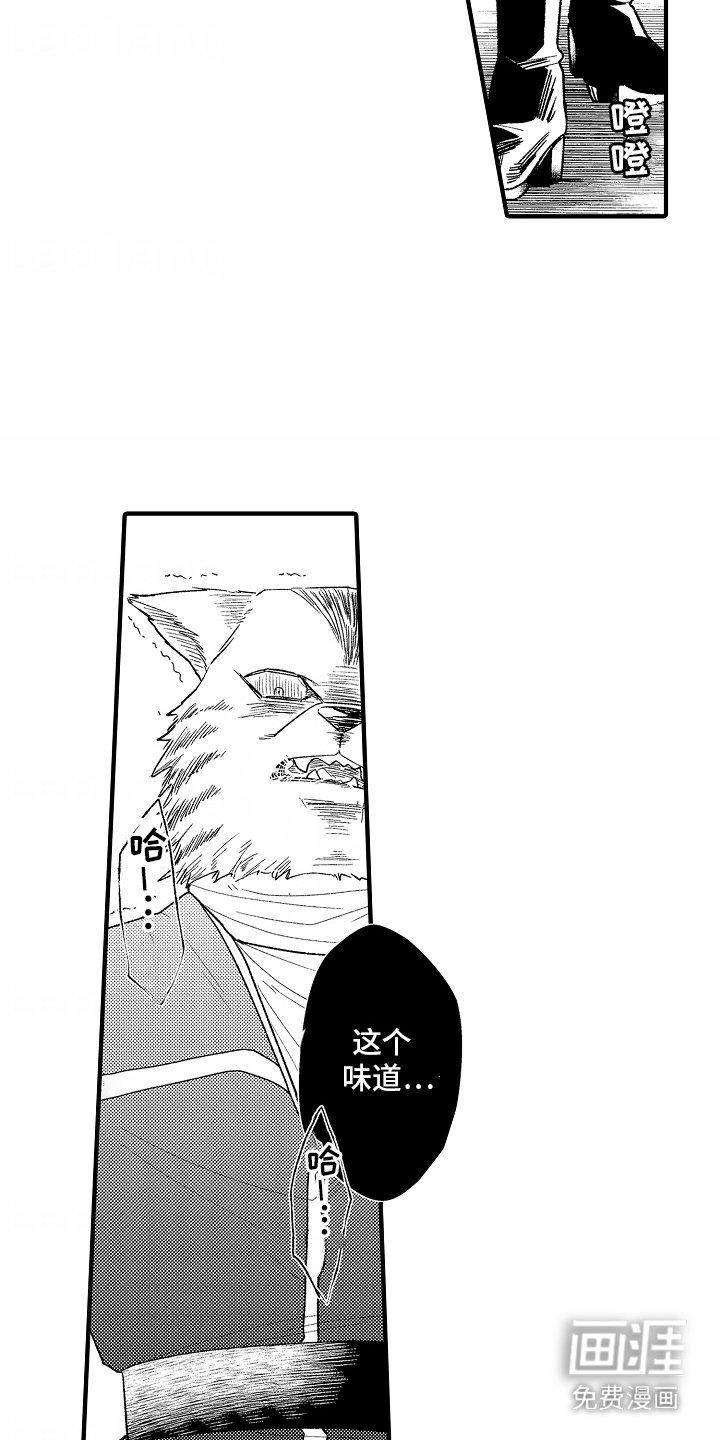 第13章：味道