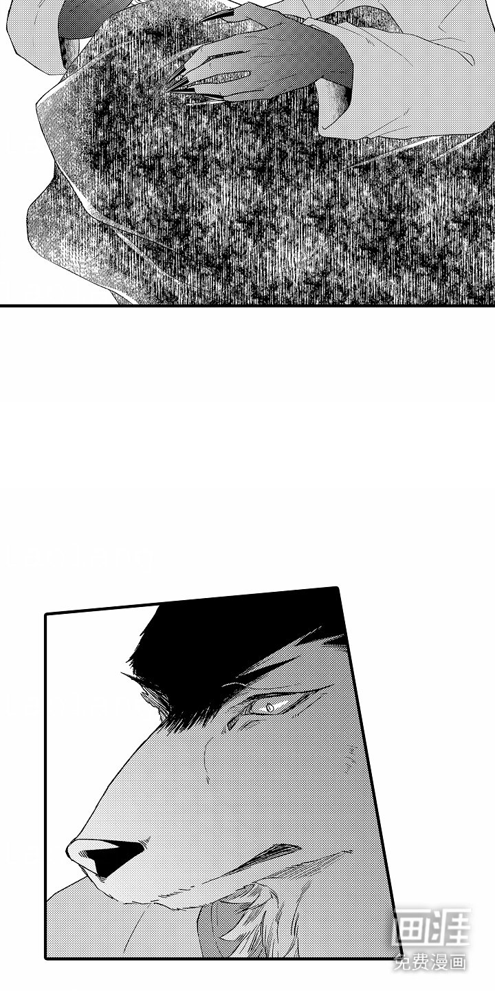 第17章：解救