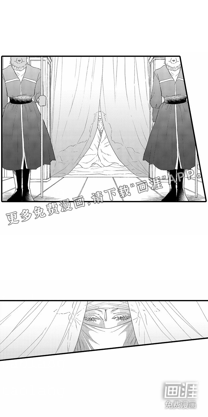 第19章：破坏仪式