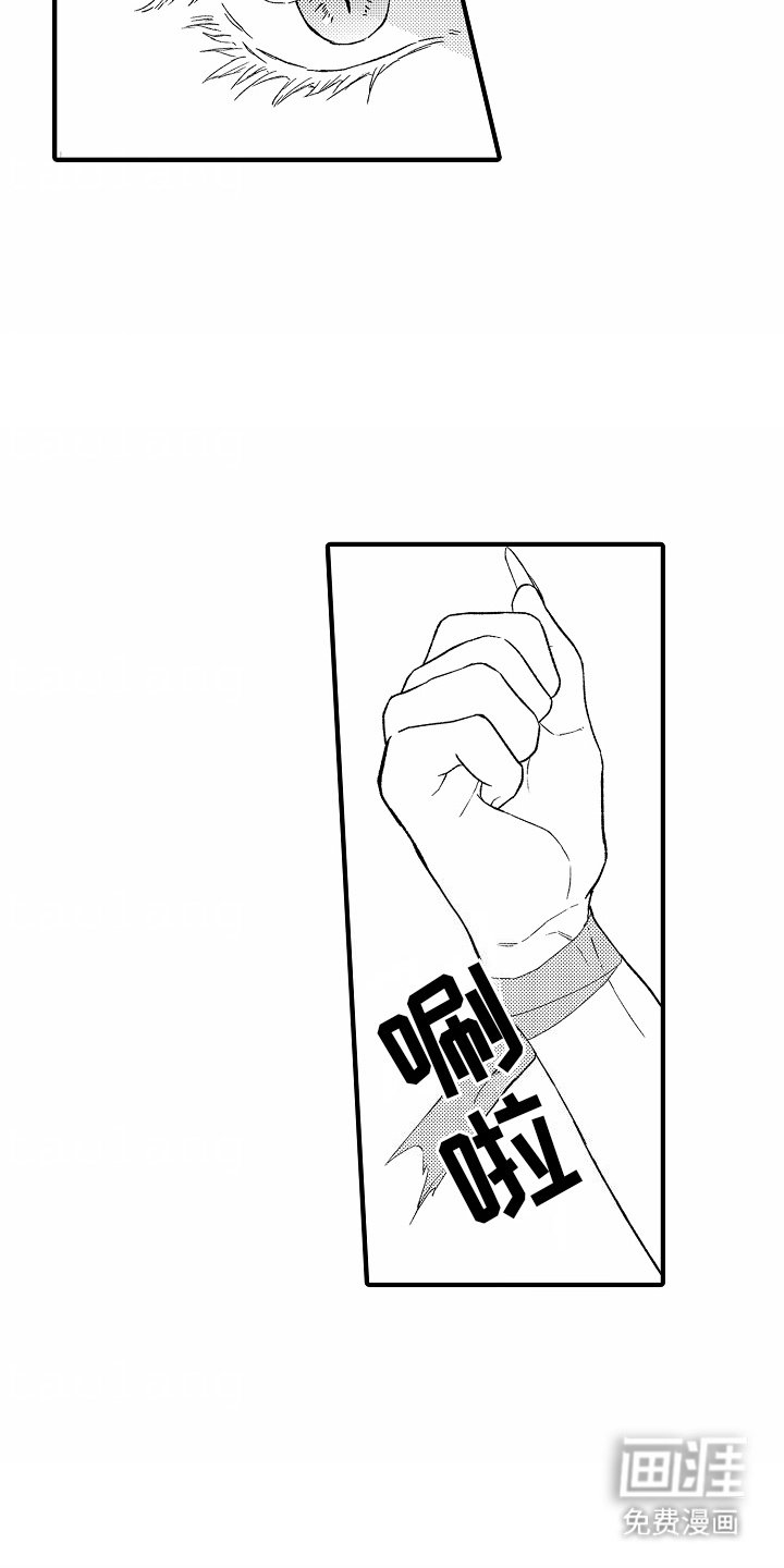 第19章：破坏仪式
