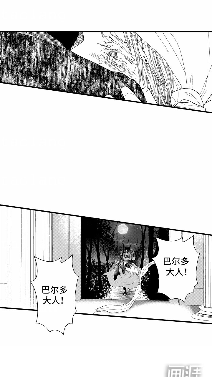 第19章：破坏仪式