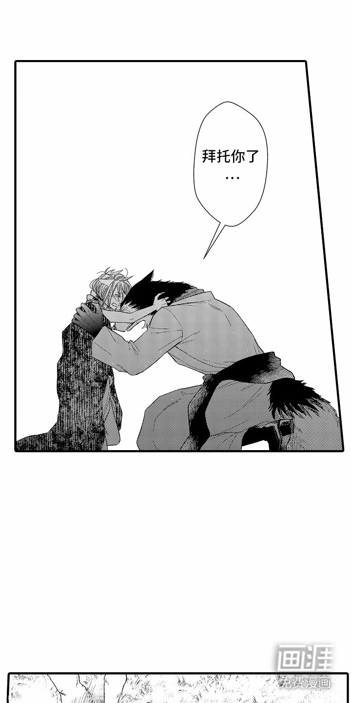 第20章：私奔