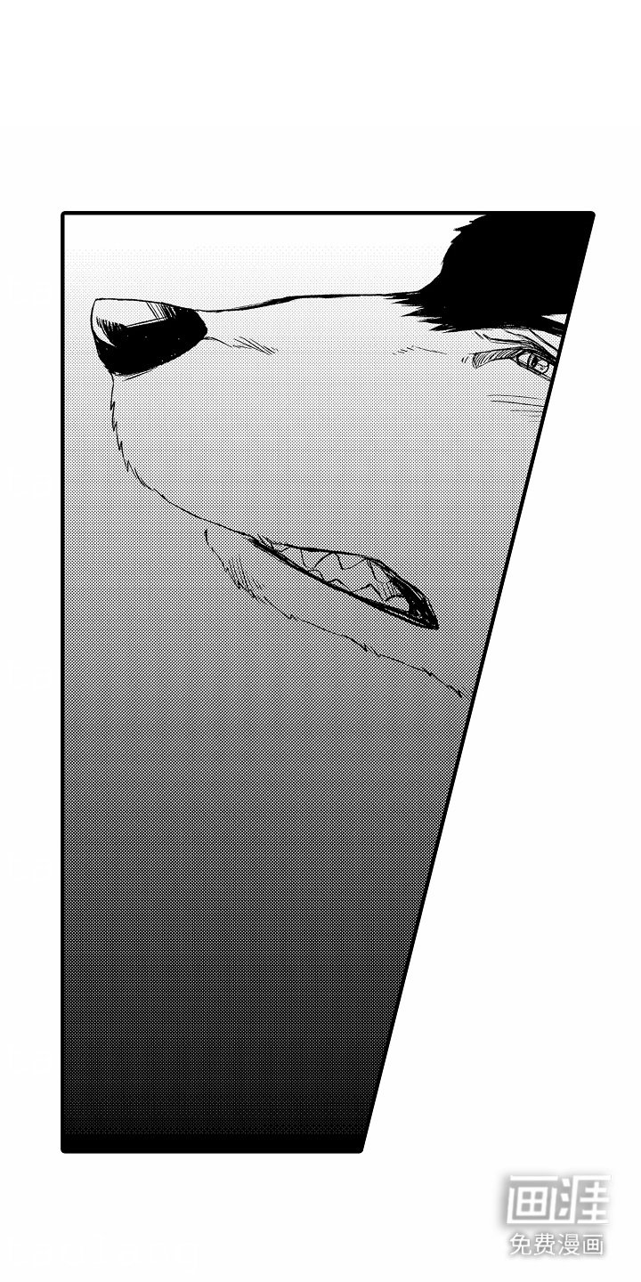 第4章：水果