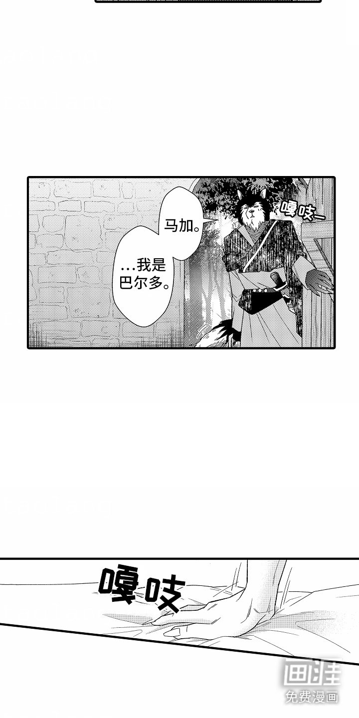 第4章：水果