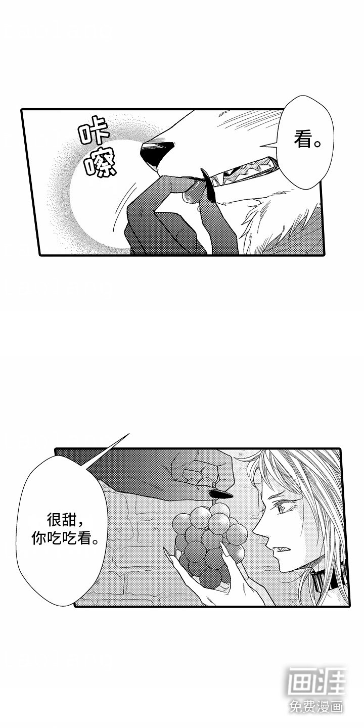 第4章：水果