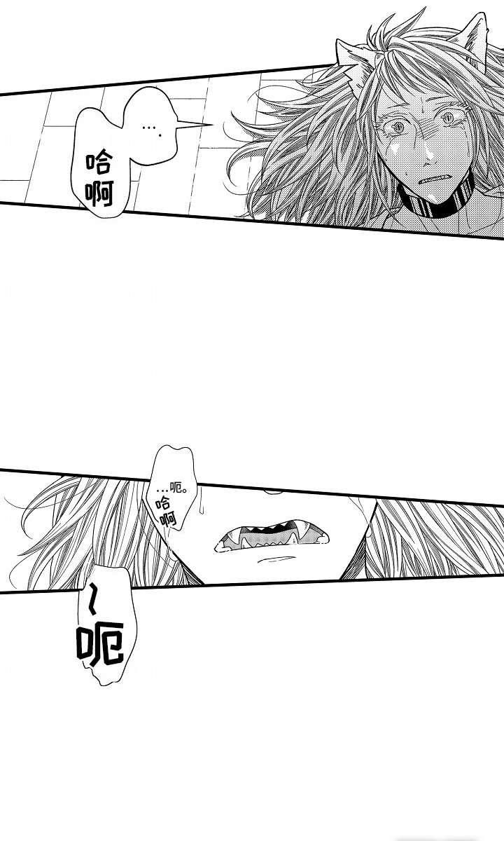 第6章：信息素 