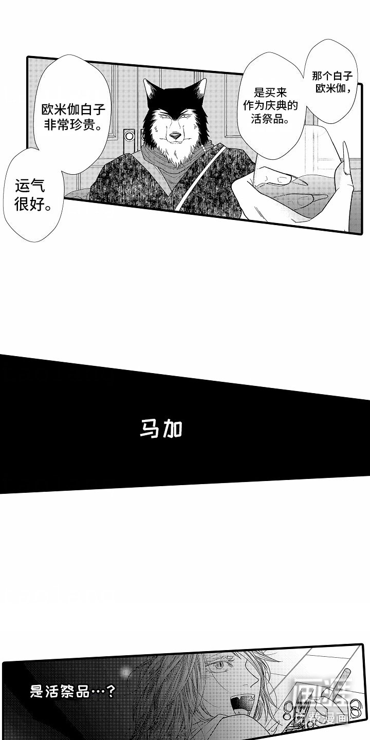 第8章：祭品