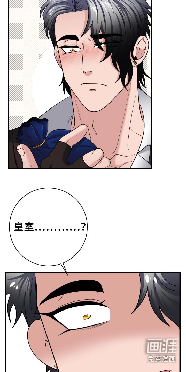 第31章：补品