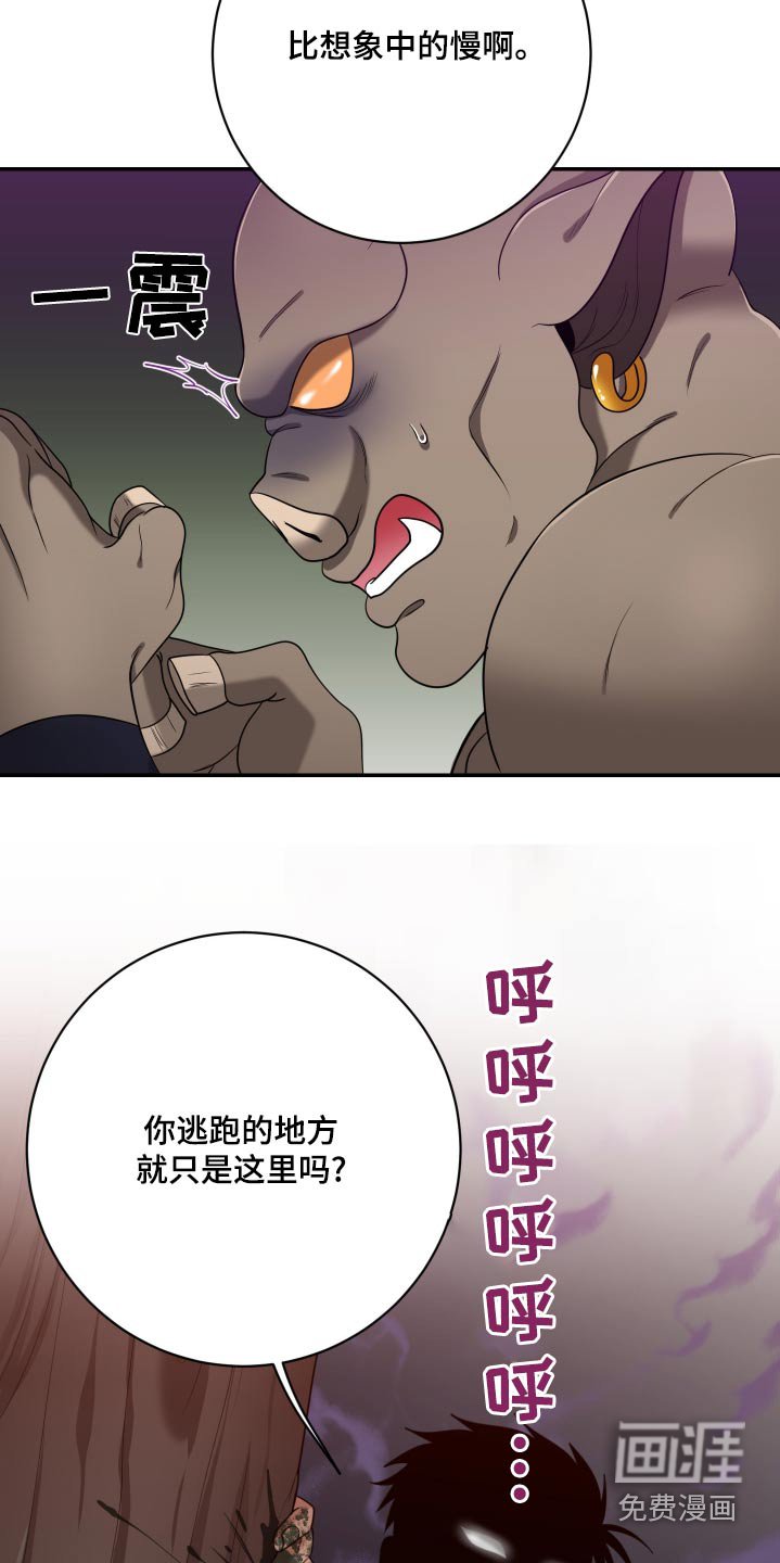 第38章：猎杀