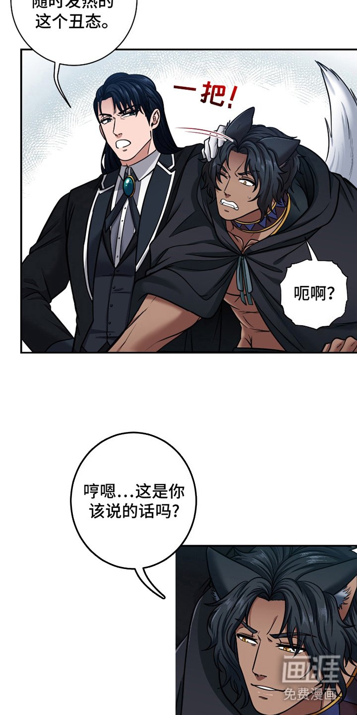 第4章：羡慕