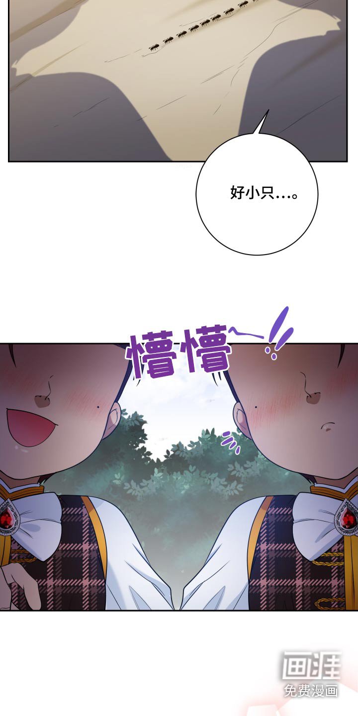 第41章：双胞胎【第一季完结】