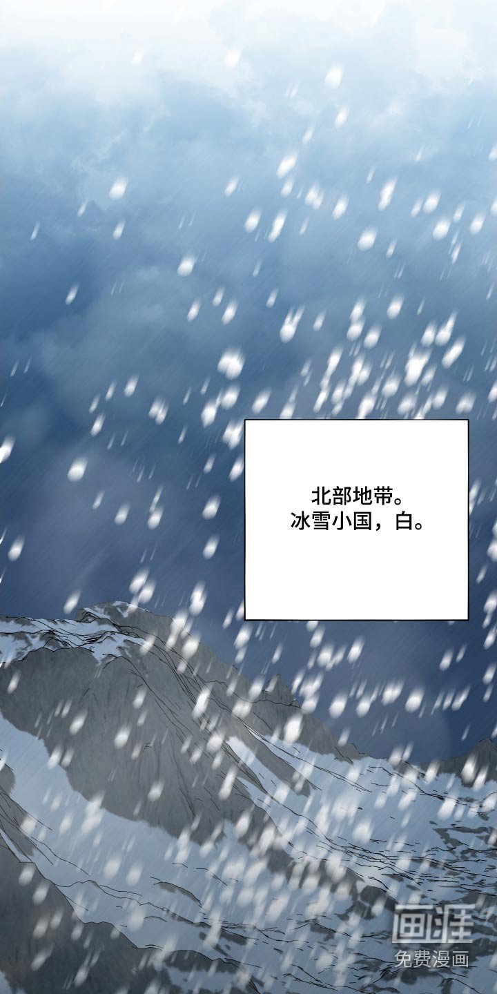 第41章：双胞胎【第一季完结】