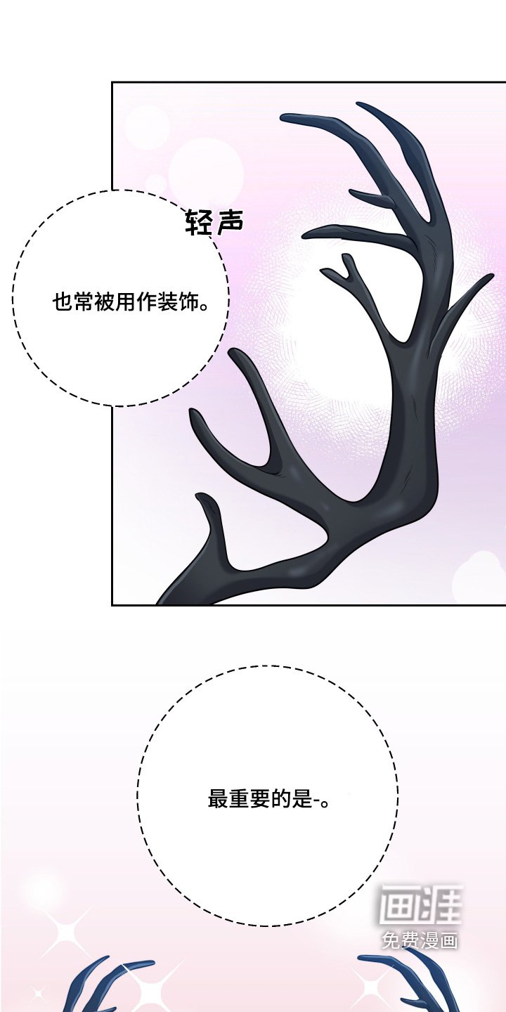第45章：【第二季】鹿角