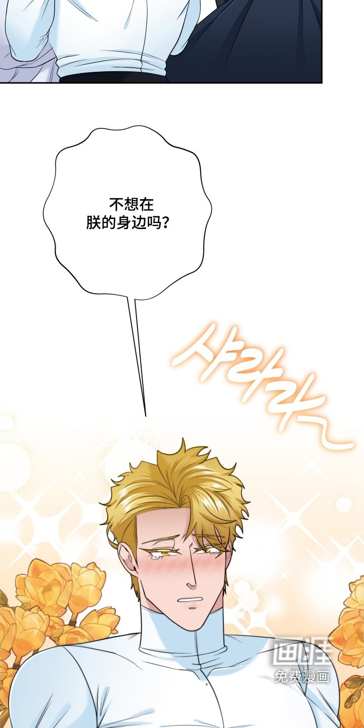 第75章：【第二季】怀孕了