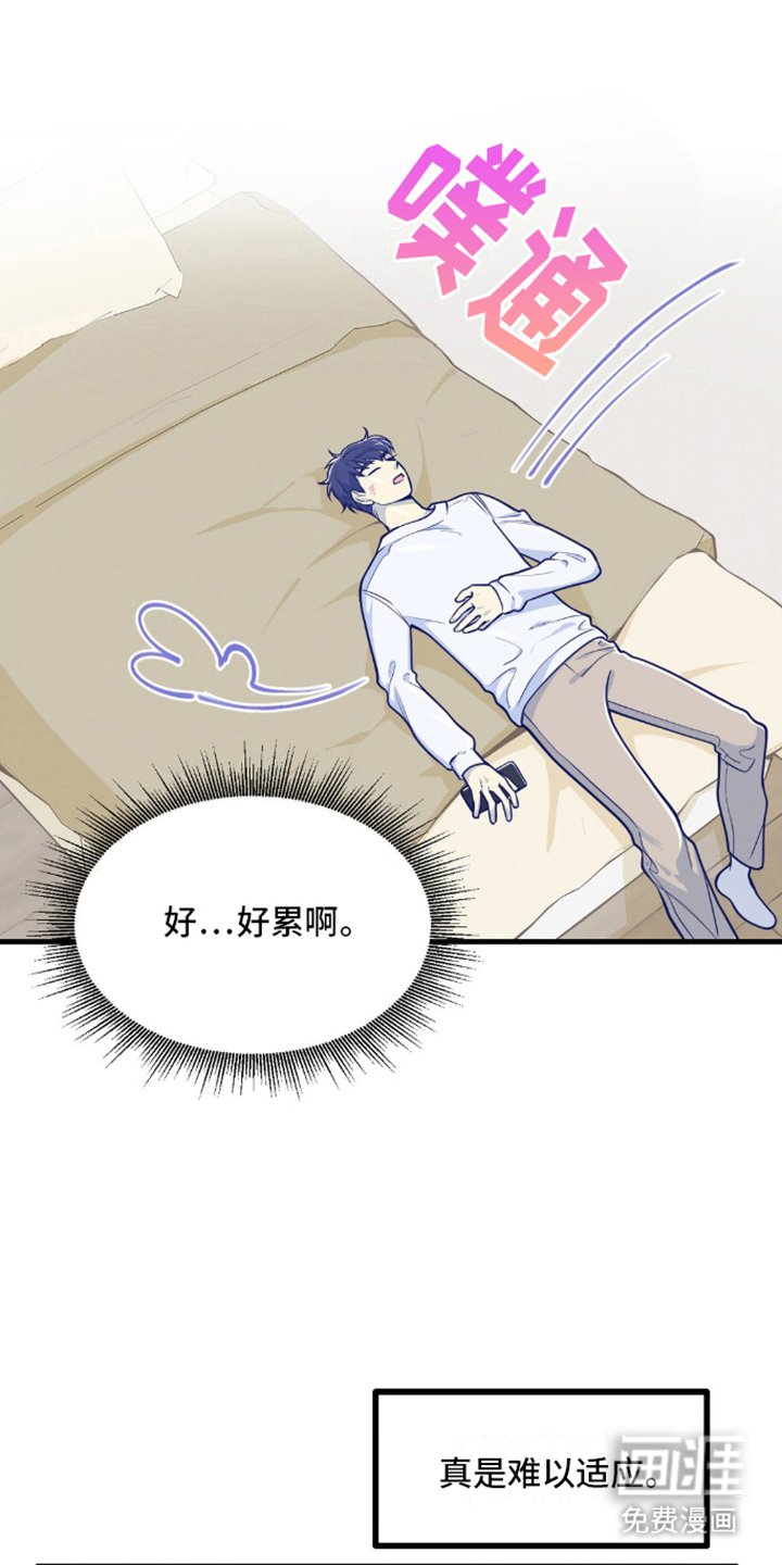 第14章：调查