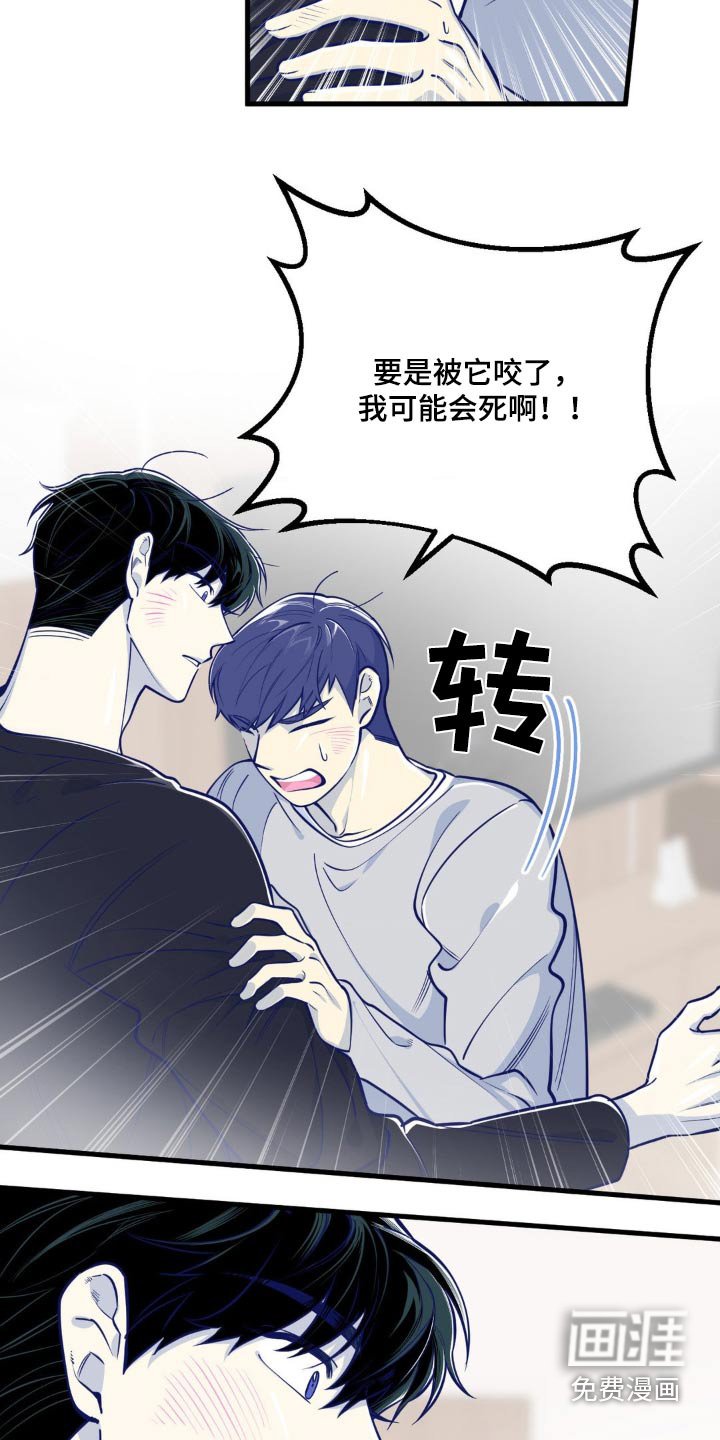 第28章：没有区别
