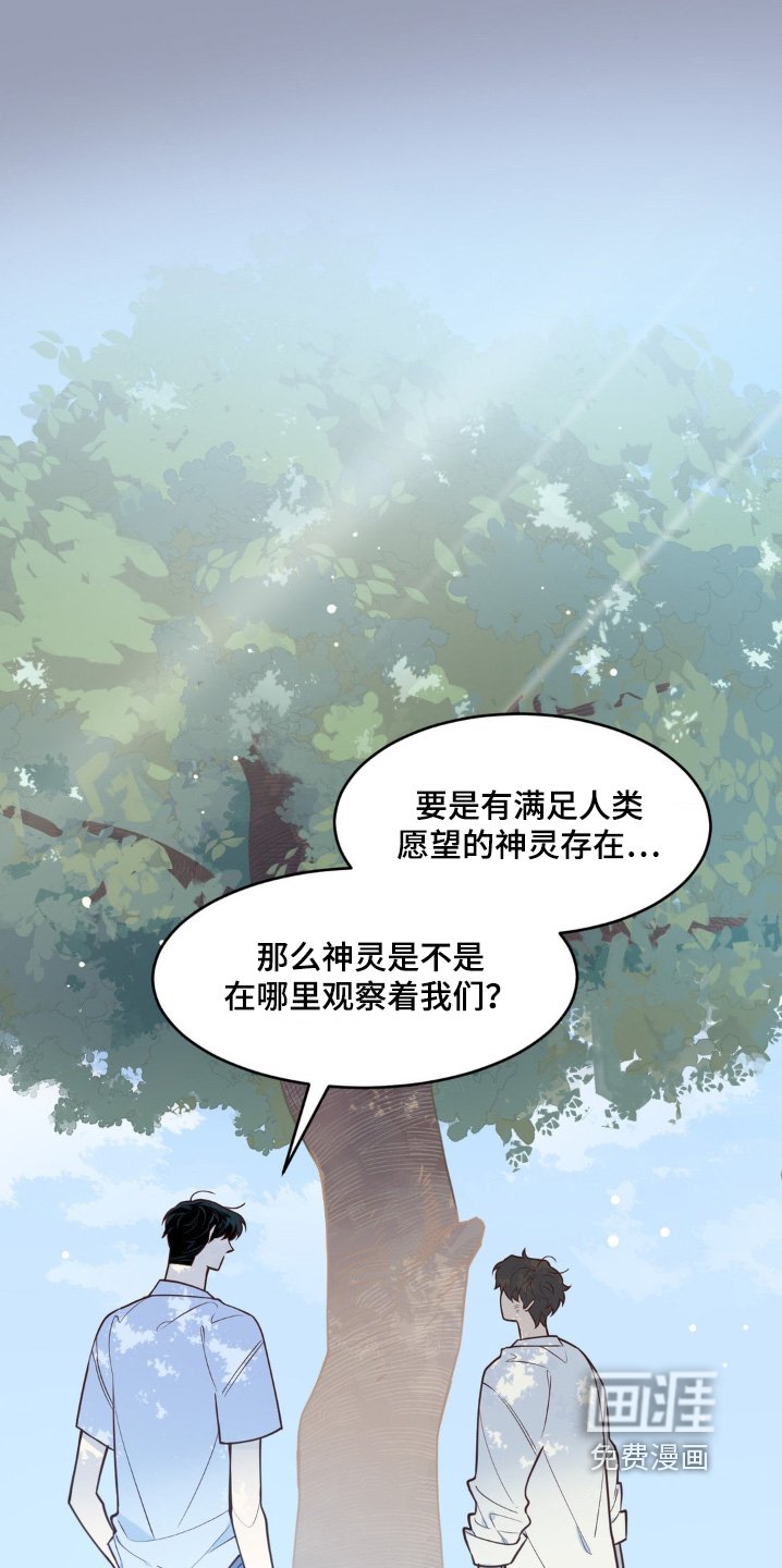 第67章：什么愿望