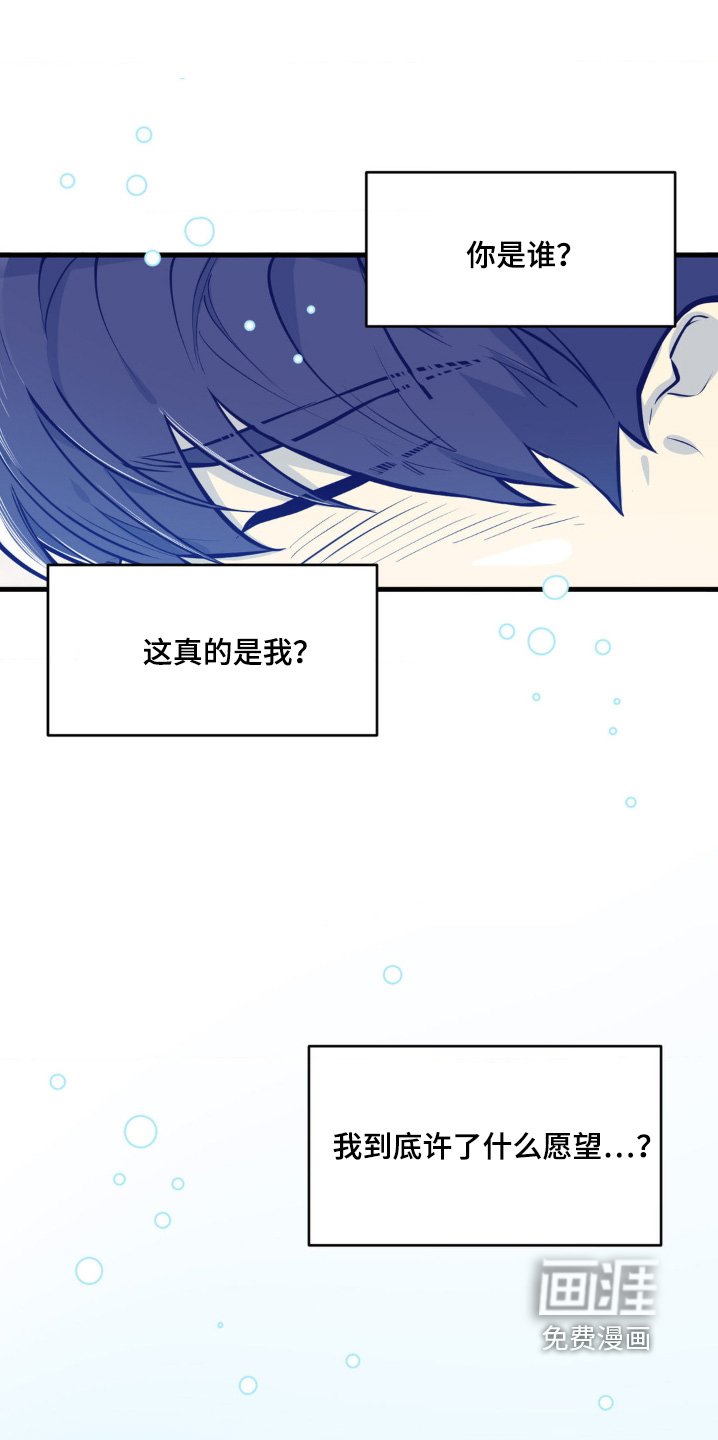 第67章：什么愿望