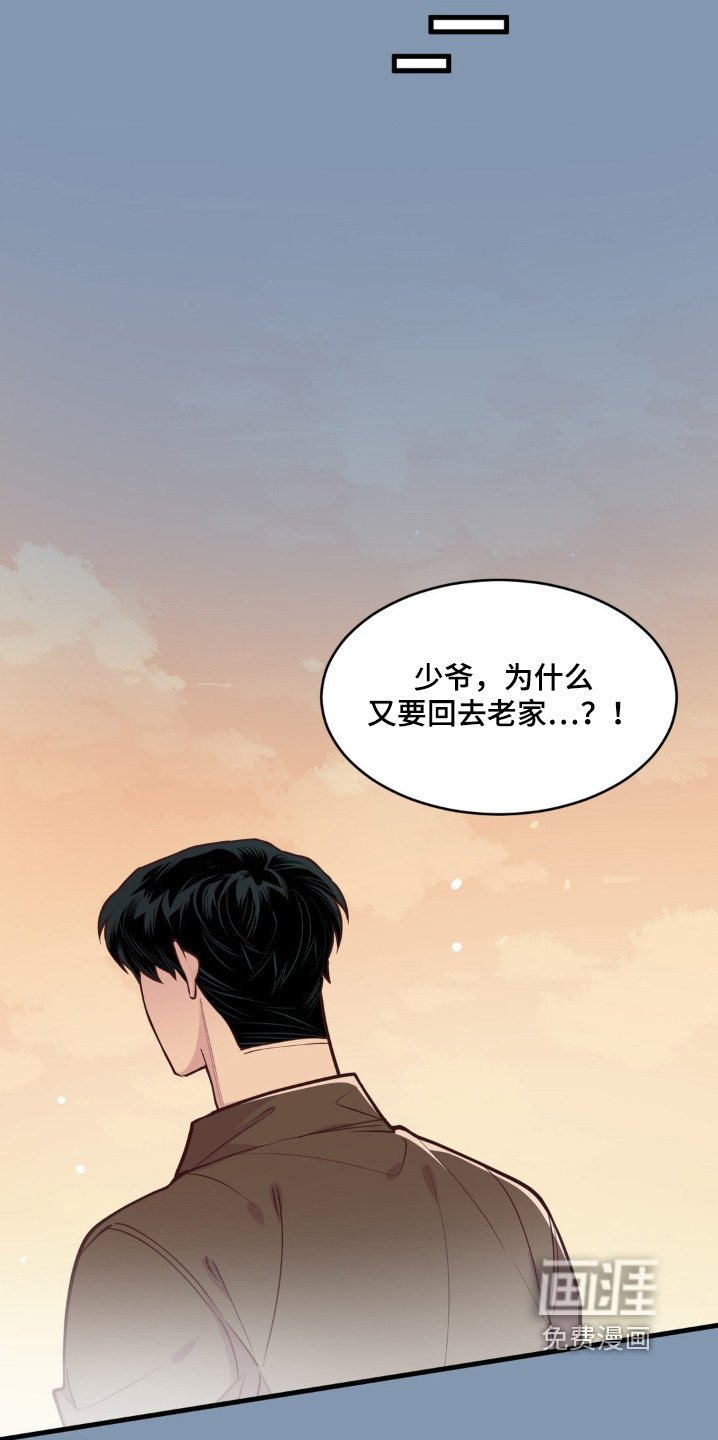 第67章：什么愿望