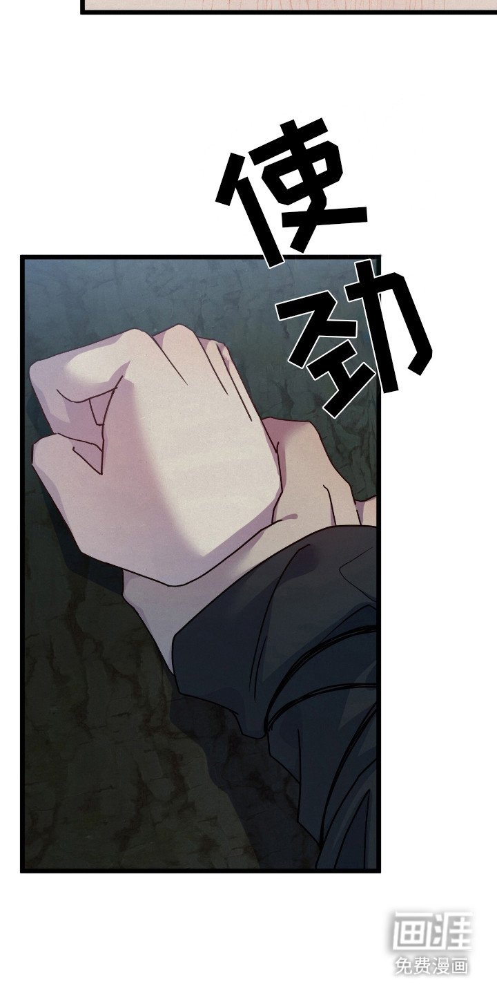 第8章：包容