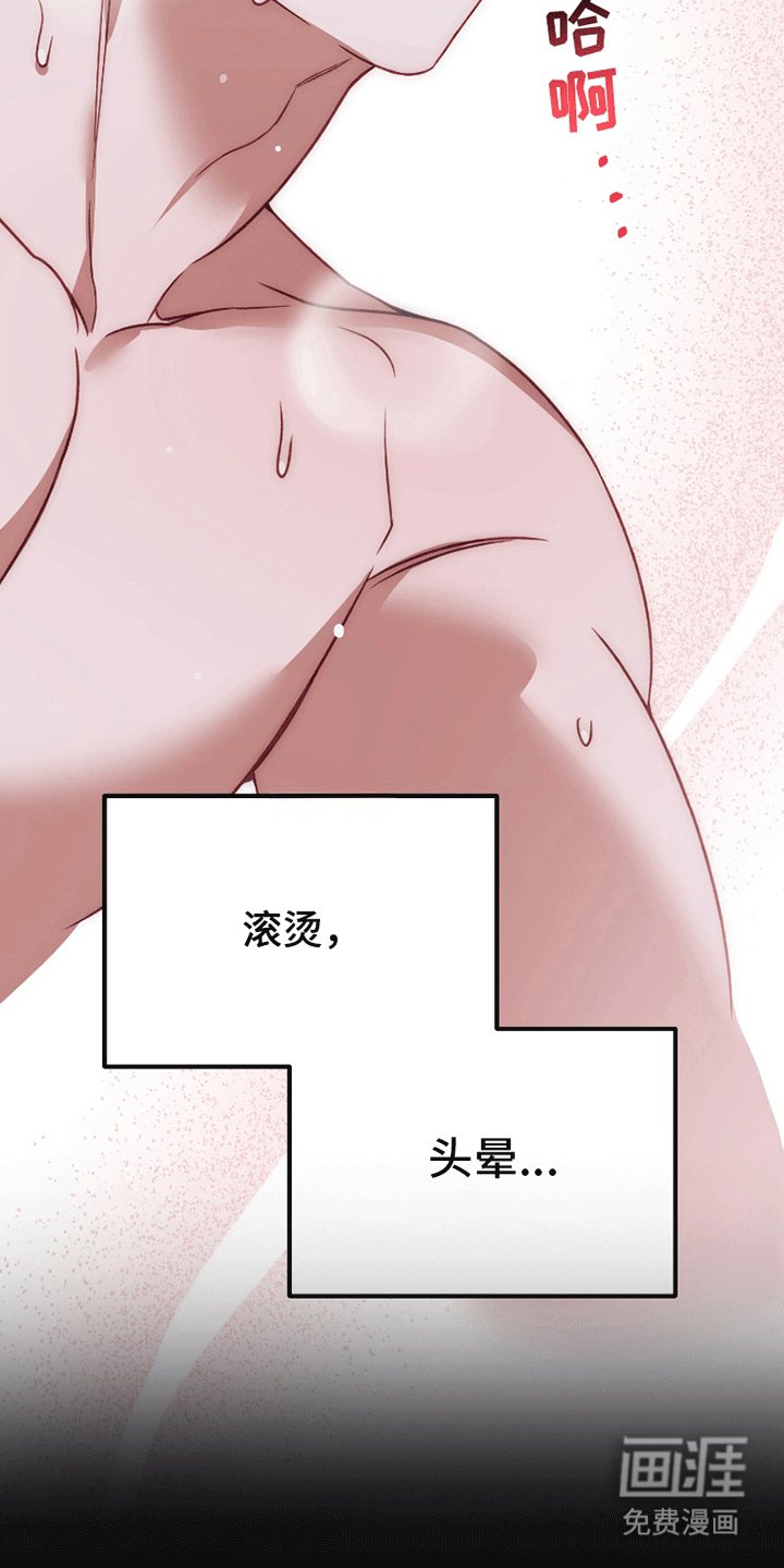 第1章：新恋情