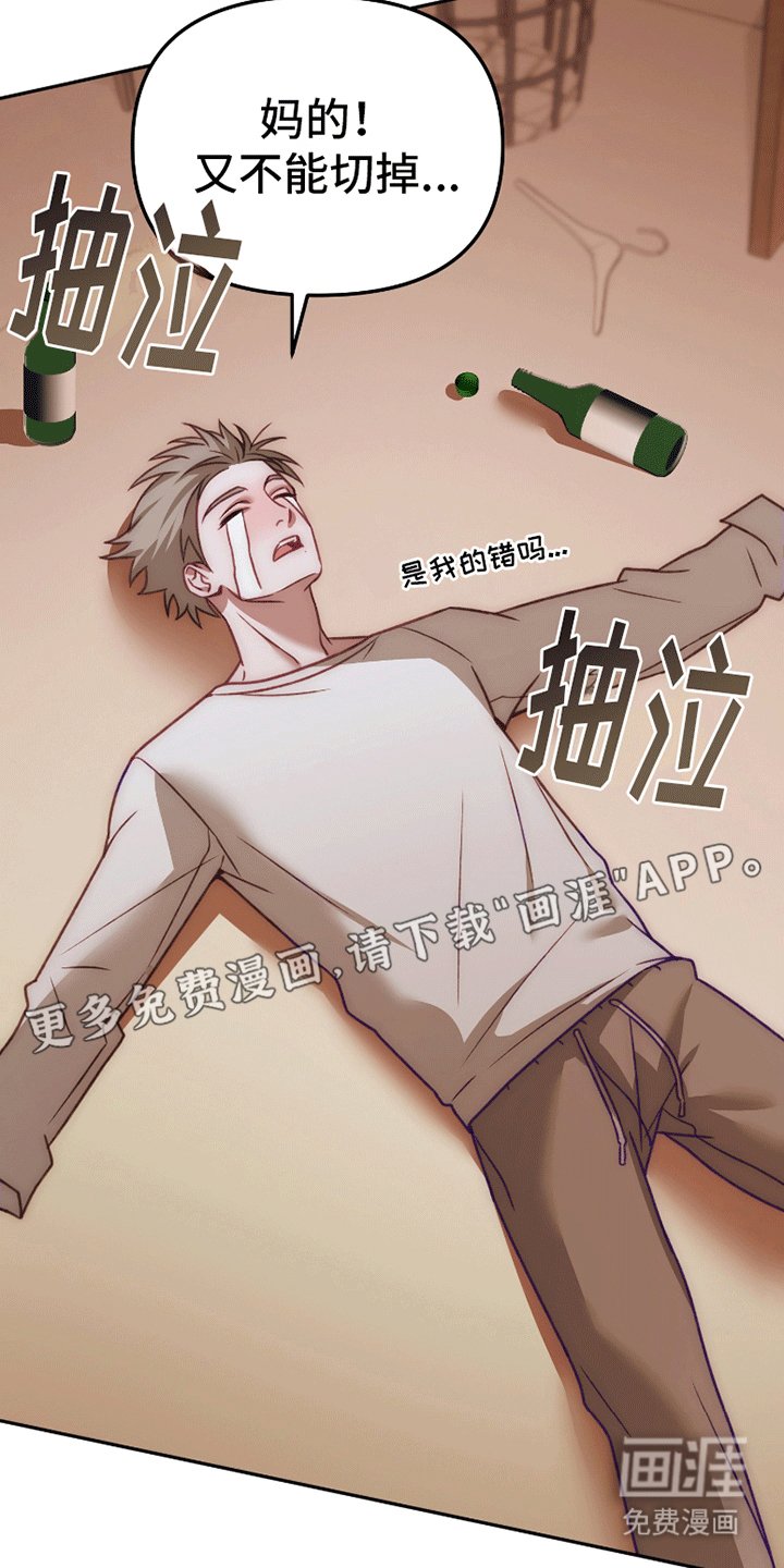第1章：新恋情