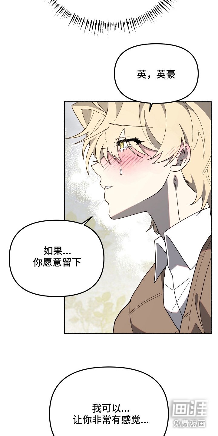 第11章：冷静点